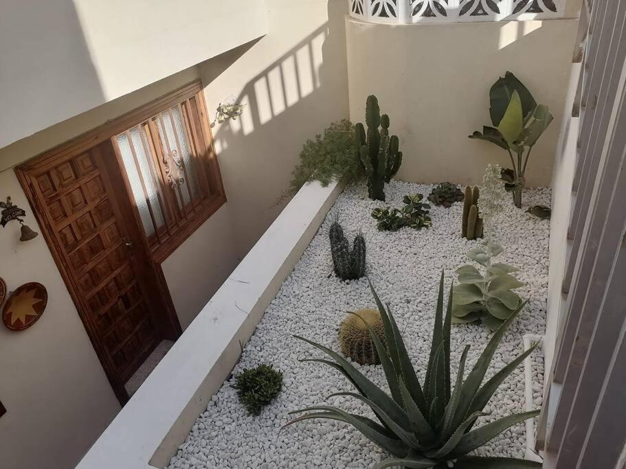 Casa Las Pencas De Margarita Los Realejos Esterno foto