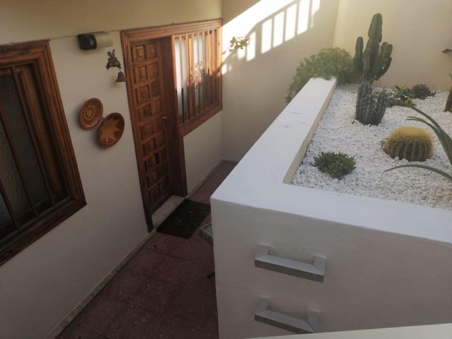 Casa Las Pencas De Margarita Los Realejos Esterno foto